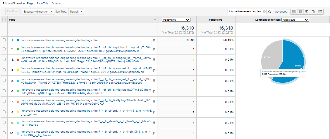 Visitor Analysis Report