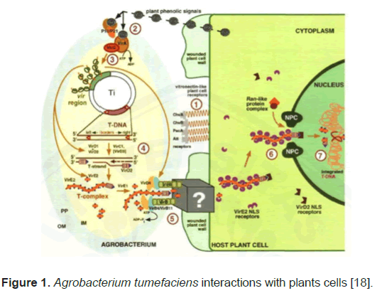 biology-todays-interactions