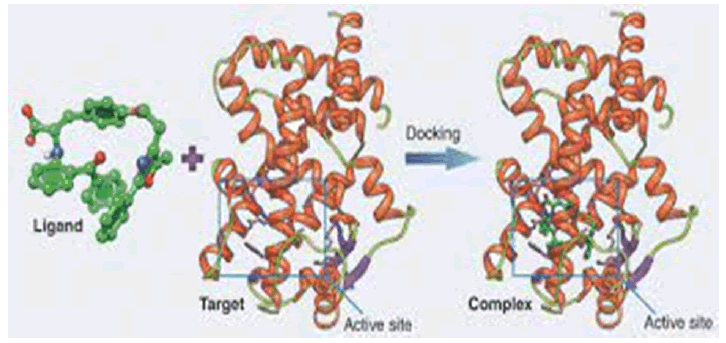 innovative-research-Molecular