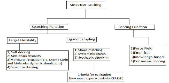 innovative-research-protein-ligand