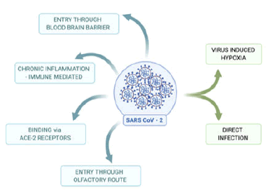 multiple-sclerosis-immune-mediated