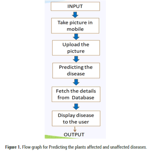 Biology-Today-Predicting