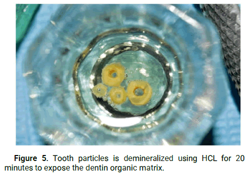 Dental-Practice