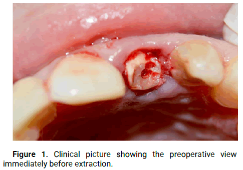 Dental-Practice