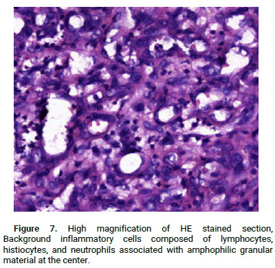 Dermatology-Reports