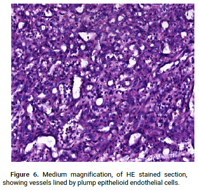 Dermatology-Reports