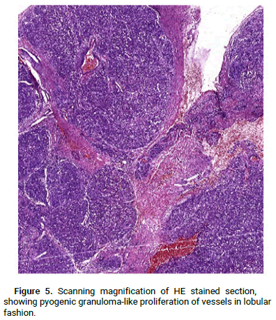 Dermatology-Reports