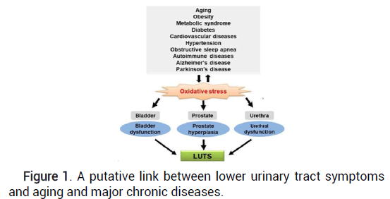 GMO-link