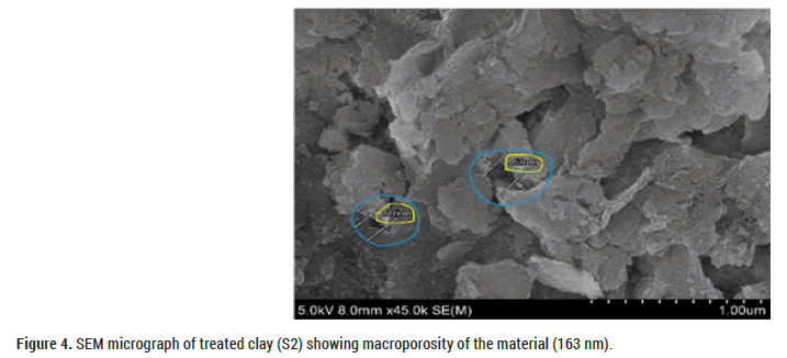 biology-micrograph