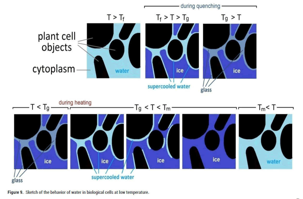 biology-world-heat