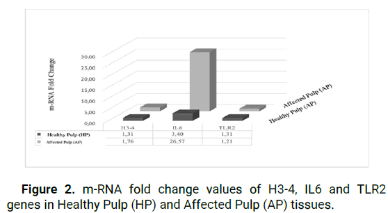 jdrp-RNA