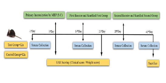 jmso-10-4-Overview