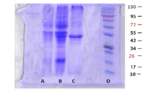 jmso-10-4-Overview-g002