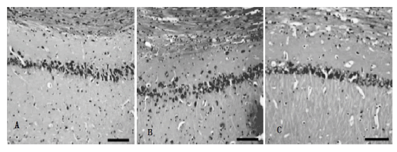 jmso-10-5-Effect