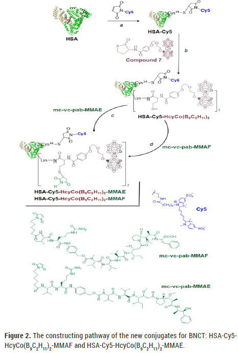 conjugates