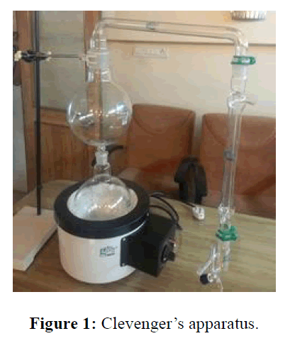 internal-medicine-public-health-apparatus