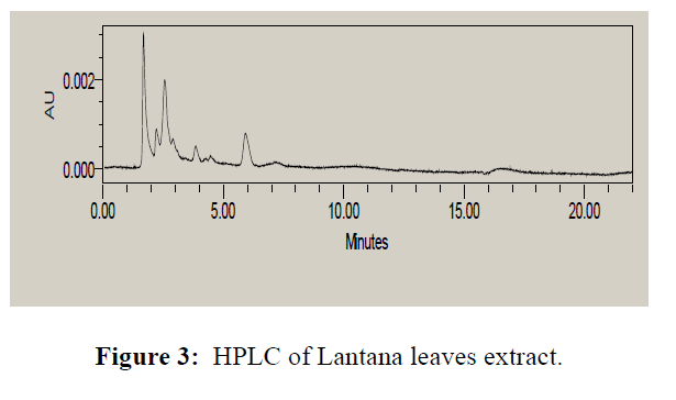 internal-medicine-public-health-lantana