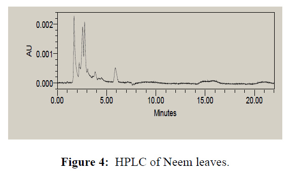 internal-medicine-public-health-neem